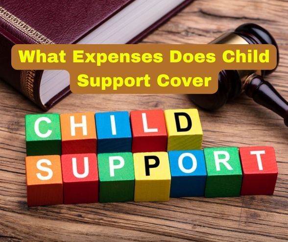 What Expenses Does Child Support Cover
